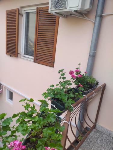 Hostel Corner 021