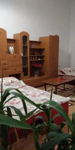 Apartment Ravangrad