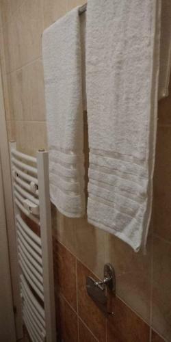 Apartment Ravangrad