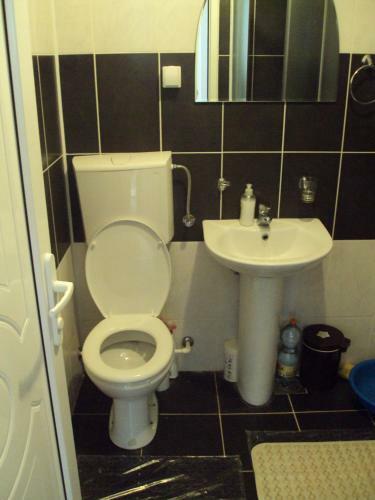 Apartamentos Alex Banja