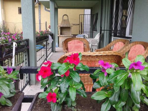 Apartment Pavlovic