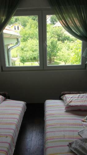 Apartment Pavlovic