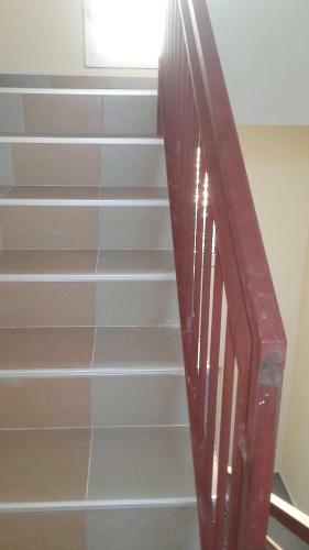 Apartment Pavlovic