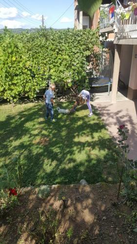Apartment Tref 2