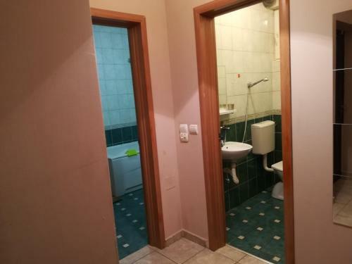 Apartment Branicevska 1