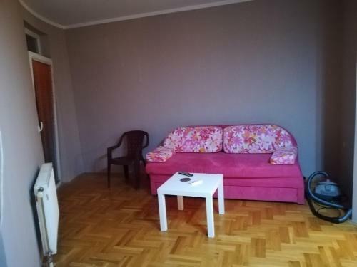 Apartment Branicevska 1