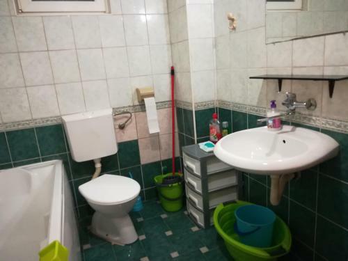 Apartment Branicevska 1
