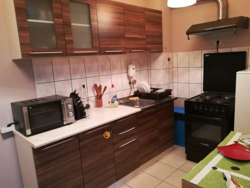 Apartment Branicevska 1