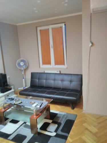 Apartment Branicevska 1