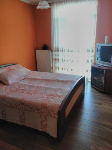 Apartment Branicevska 1