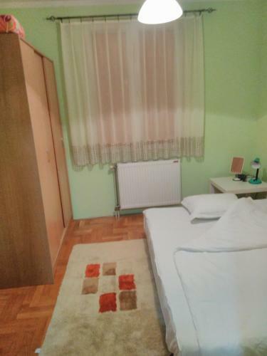 Apartment Branicevska 1
