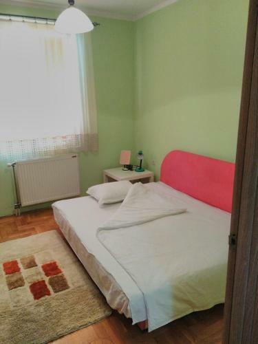 Apartment Branicevska 1