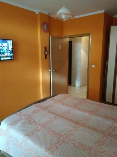 Apartment Branicevska 1
