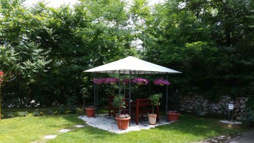 Hostal Vila Dincic