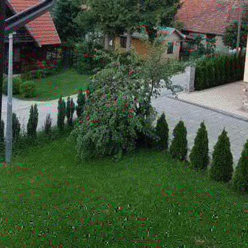 Apartments Vila Velickovic