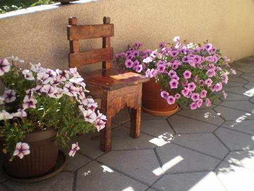 Apartments Vila Velickovic