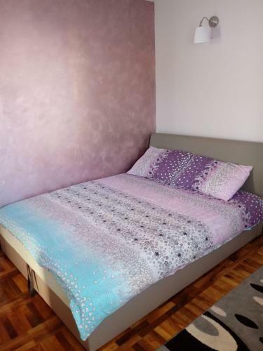Apartments Vila Velickovic