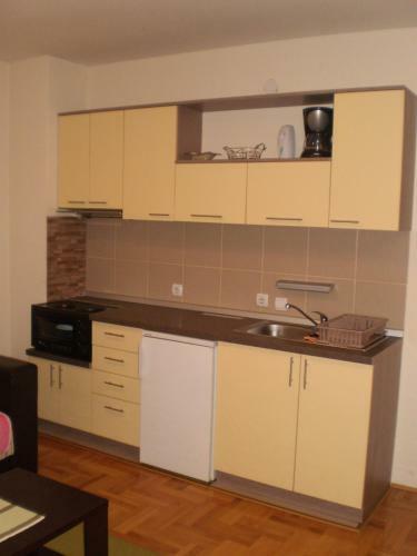 Apartments Vila Velickovic