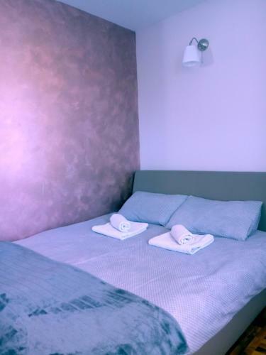 Apartments Vila Velickovic