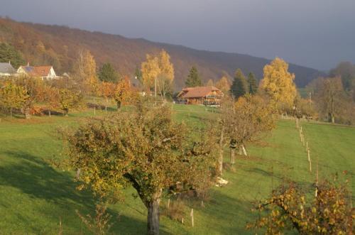 Hostal Vreni's G�stezimmer