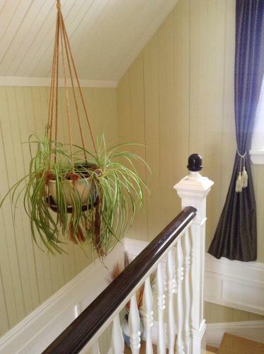 Bed & Breakfast Le G�te Du Coteau