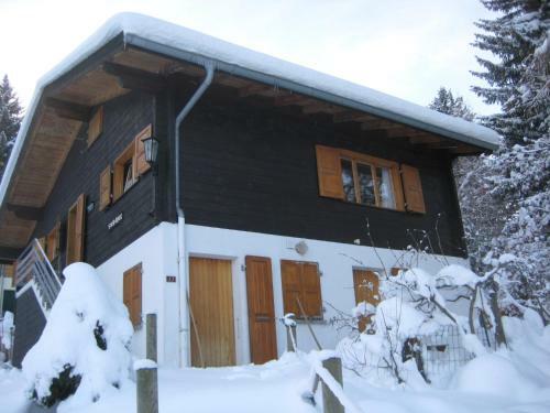 Chalet Sven & Marc Gr�chen/st. Niklaus Vs