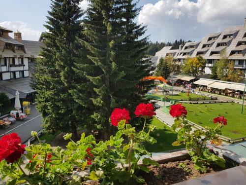 Apartments Mozaik
