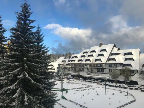 Apartments Mozaik
