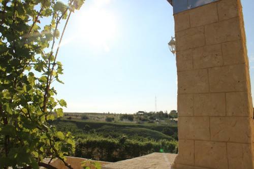Hostal Hotel Alexandria