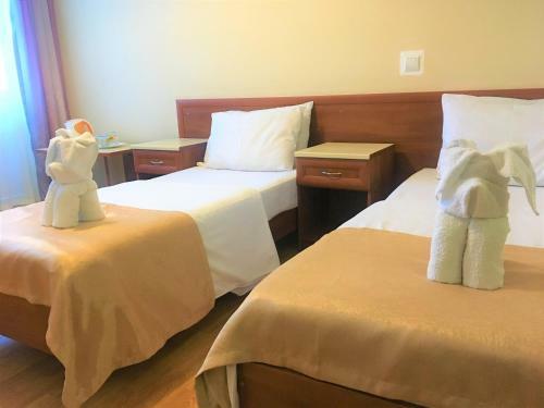 Hotel Edelveys