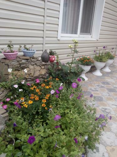 Hostal Jasmine