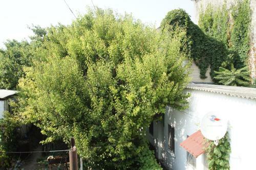 Hostal Guest House Yut Na Gorkogo