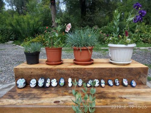 Posada Guest House Colibri