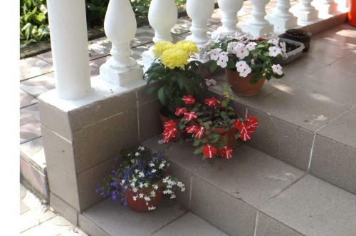 Posada Guest House Colibri