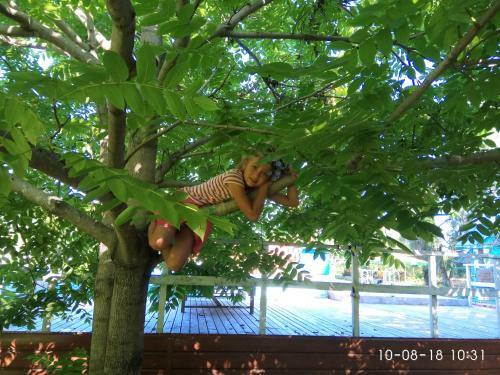Posada Guest House Colibri