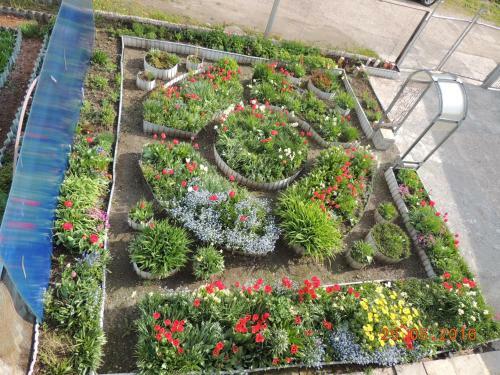 Hostal Guest House Bereza