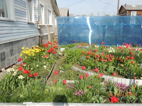Hostal Guest House Bereza