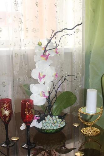 Hostal Guesthouse Vizit