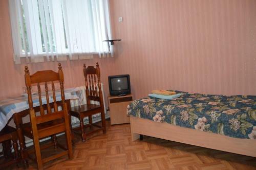 Posada Dinamo Bryansk