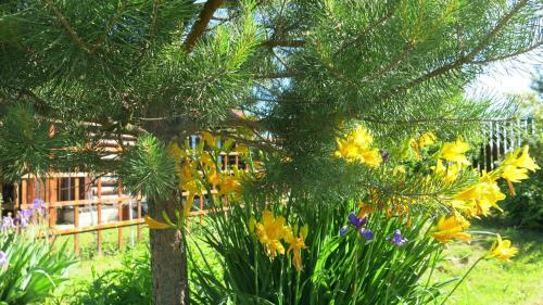 Hostal The Guest House Of Nikulin