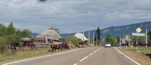Hostal Postoyaliy Dvor