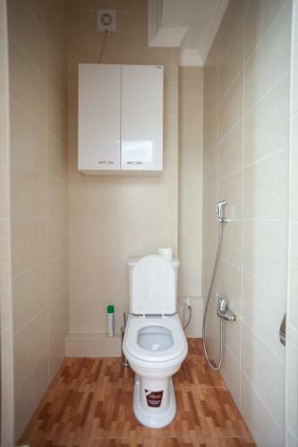 Apartment Vershina