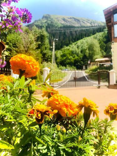 Hostal Hotel Kapriz