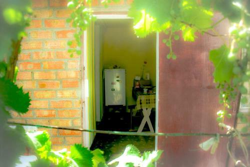 Agroturismo Country House On Chapaeva