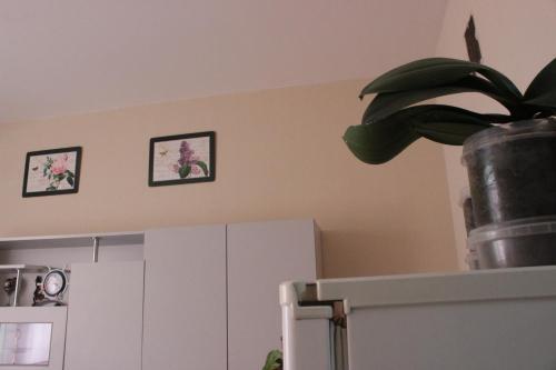 Apartamento ???????? ????? ? ????? ????? ? ??????