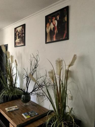 Hostal Guest House On Beryozovaya 72