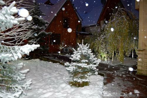 Hostal Fairy House Apartments & Spa