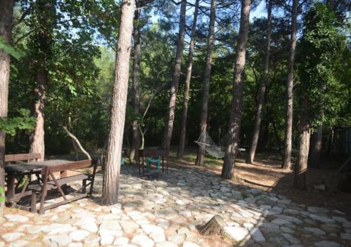 Hostal Asiyat Guesthouse