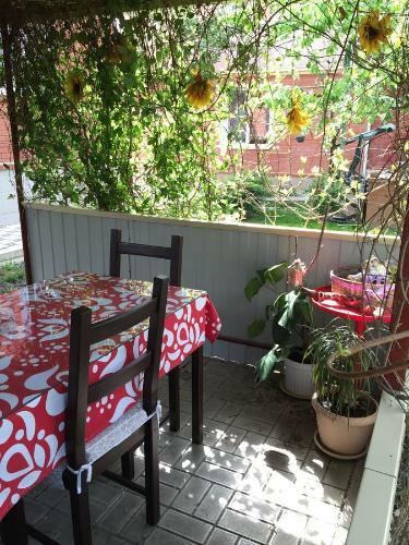 Hostal Guest House Miladom
