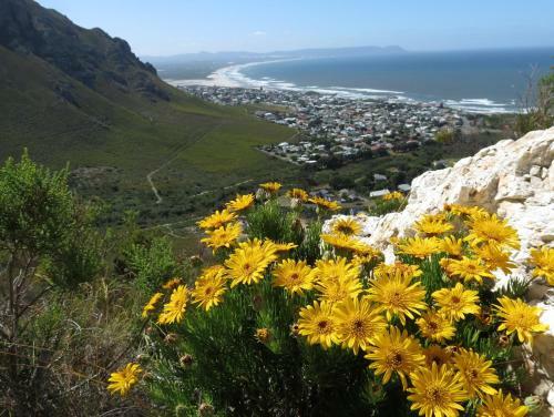 Hotel Hermanus Beach Villa